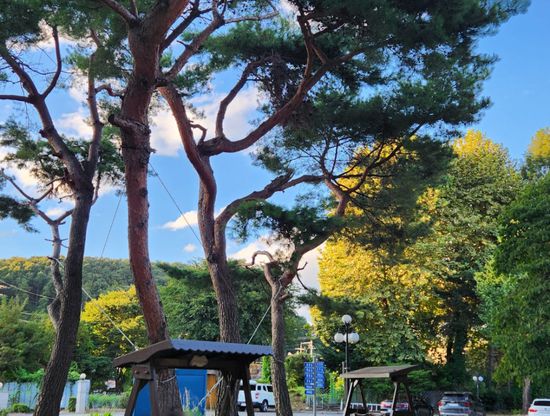 에듀셀파 여학생캠퍼스 야외 전경