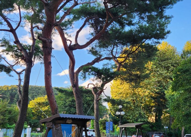 에듀셀파 여학생캠퍼스 야외 전경